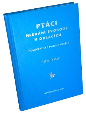 Ptáci - hledání svobody v oblacích